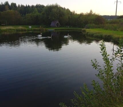 Баня на дровах 90 км от Минска. Есть большая беседка, мангал комната отдыха.