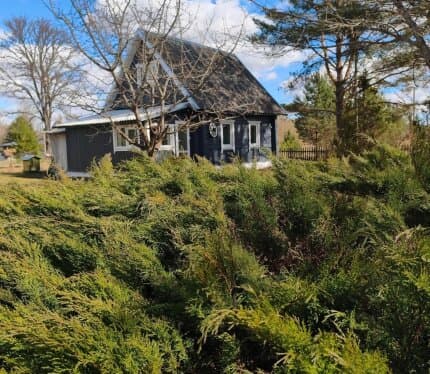 Объявление