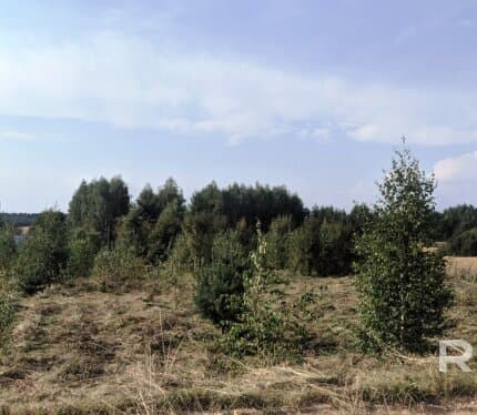 Чистая продажа. Торг. Возможно покупка с кредитом.