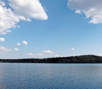 Домик рядом с озером "Домашковское" до озера 300 метров. Рядом находится санаторий "Лесное" . В доме 2 комнаты , кухня сан узел. Имеется вся необходимая посуда и кухонные принадлежности. Есть холодильник , телевизор, электро плита, печное отопление. Во дворе пруд, колодец мангал.