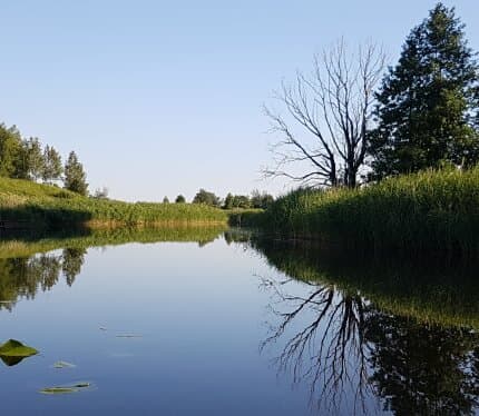 Сдаётся дом на берегу реки Друйка сроком от двух недель. Находится в 1км от Слободки и 10км от Браслава. Прекрасное место для отдыха и рыбалки. Вокруг лучшие озера Беларуси: Снуды, Струсто, Волосо, Недрово. Свой подход к реке, широкая кладка (путёвка от Нацпарка не нужна). Первая береговая линия. Река известна изобилием видов рыб: линь, окунь, щука, лещ, плотва, красноперка, угорь и др. Леса богаты грибами и ягодами. В доме есть электричество, вода, канализация, санузел. Беседка, яблоневый сад.