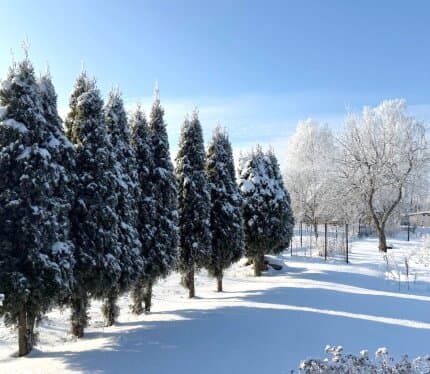 Участок под строительство