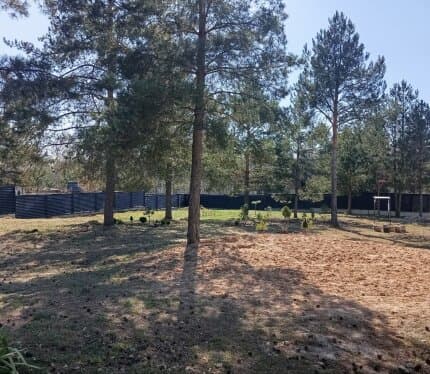 Продаётся участок ПРЕМИУМ-КЛАССА с сосновым лесом !