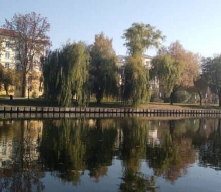 Центр. Набережная. Золотой полуостров. Все документы есть.