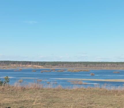 Прекрасный земельный участок площадью в 20 соток. Расположен в живописном месте, на берегу озера в аг. Новый Быхов с панорамным видом на озеро и пойму реки Днепр. Расстояние до берега озера 150 метров. Рядом лес, пляж для купания. Отличный подъездной путь, асфальт до участка. Сети центрального водоснабжения проходят по улице. Планируется газификация на 2026-2030г. Участок крайний угловой примыкает к 1 соседям. Участок чист от ростительности и построк, использовался под огород.