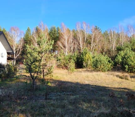 Два живописных смежных участка возле Бреста для дома, агроусадьбы или инвестиций. Расположены в д. Подлесье-Каменецкое (Мухавецкий сельсовет), всего в 12 км от Бреста и в 20 минутах от Брестской крепости. Тихое и живописное место в окружении смешанного леса сочетает в себе чистый воздух, уют деревенской природы и удобную транспортную доступность к городу. Характеристики: участок №71 — 10,73 сотки; участок №73 — 9,73 сотки. Продажа одним лотом, приобретение по отдельности возможно, но дороже.