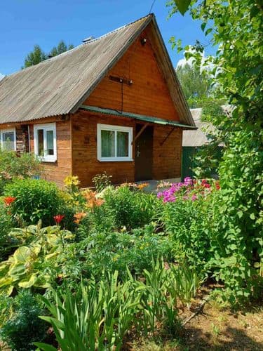 Домик у Лиса