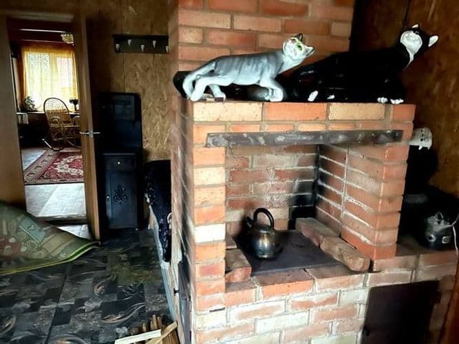 Сдается атмосферная дача в живописном, красивом уголке Белорусской природы. Дом обустроен в белорусском колорите. Можно приготовить невероятно вкусную...