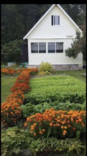 Сдам на летний период дачу. Находится в улановичах, конечная остановка. Дом первый к лесу, соседи с двух сторон. Участок БЕЗ огорода. Парника нет. В д...