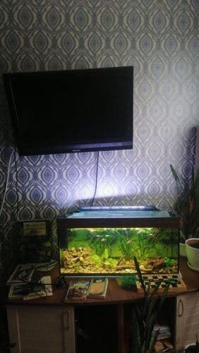 Солигорск, Солигорский район, Минская обл.