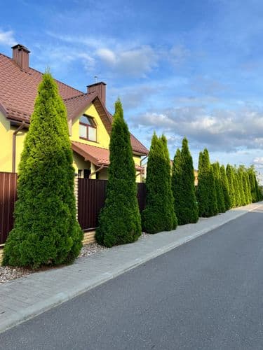 Не требует вложений. Доп информация и фото по телефону. Рассмотрю варианты .