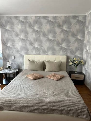 2 комн квартира в историческом центре по суткам и неделям