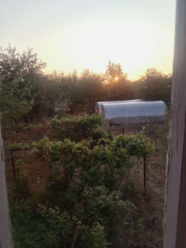 продам дачу.. садовое товарищество Надея- Щежерь.хорошее дизельное сообщение..пять минут ходу до остановки..вода..свет есть.Все возникшие вопросы м...