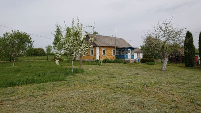 Хуторская ул, деревня Головенчицы, Вишневецкий сельсовет, Столбцовский район, Минская обл.