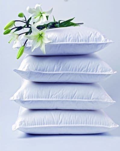 ЧИСТКА ПОДУШЕК и одеял на ВЫЕЗДЕ ''Пушинка''