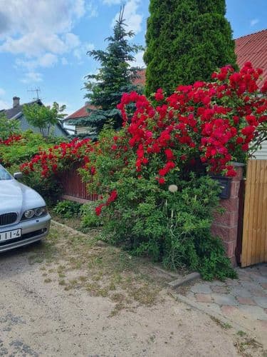Сдам полдома гражданам РБ. Оплата коммунальных по количеству проживающих. Газовое отопление, есть и печное отопление. Залог в размере месячной оплаты....